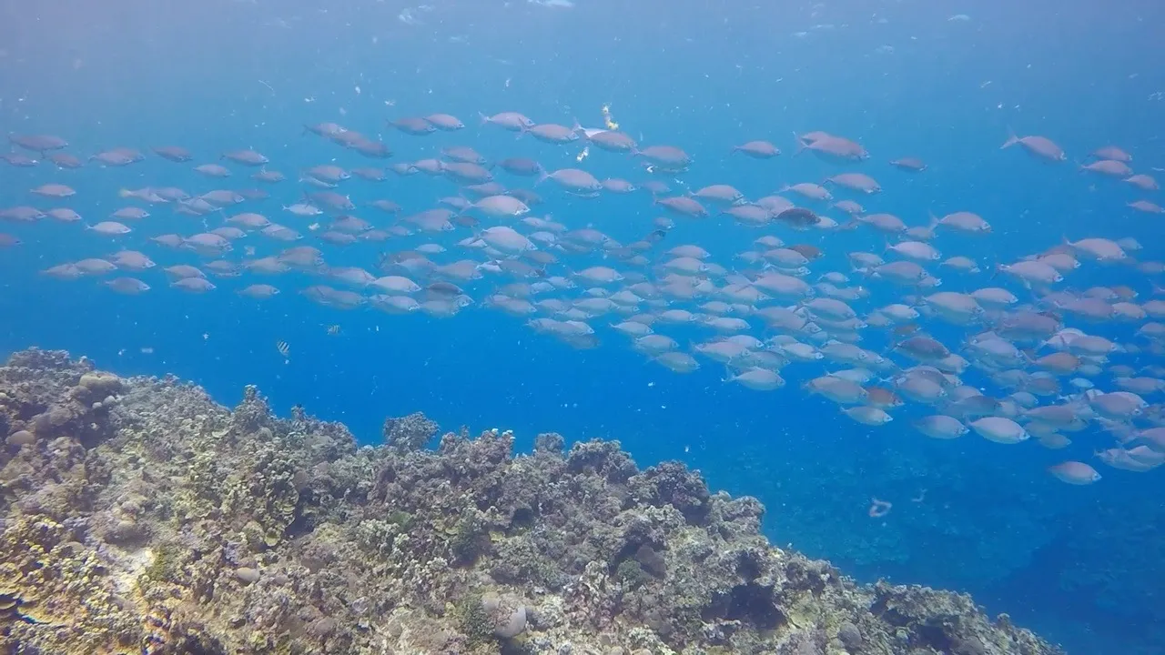 Pensacola