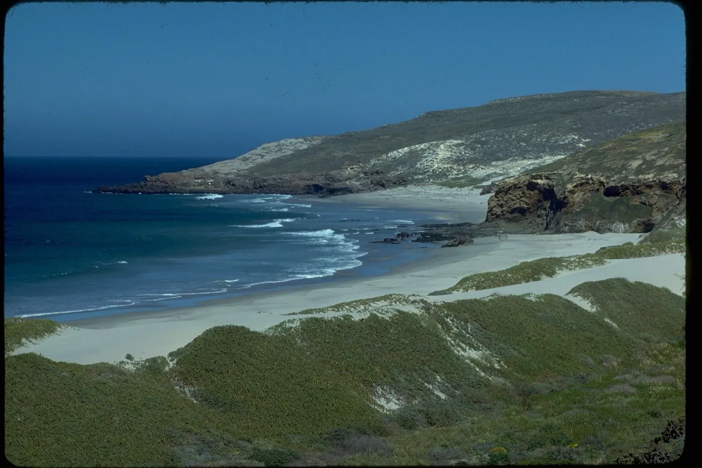 Channel Islands National Park