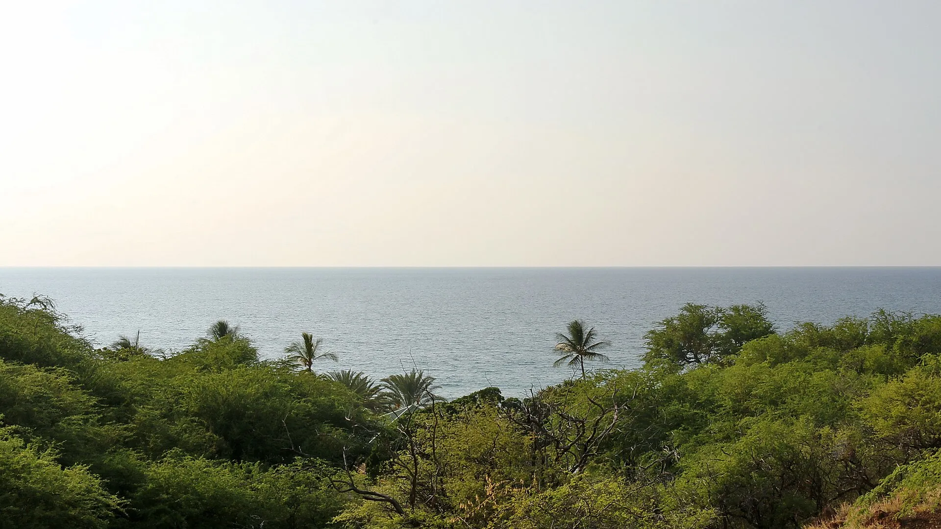 Hapuna Beach State Recreation Area