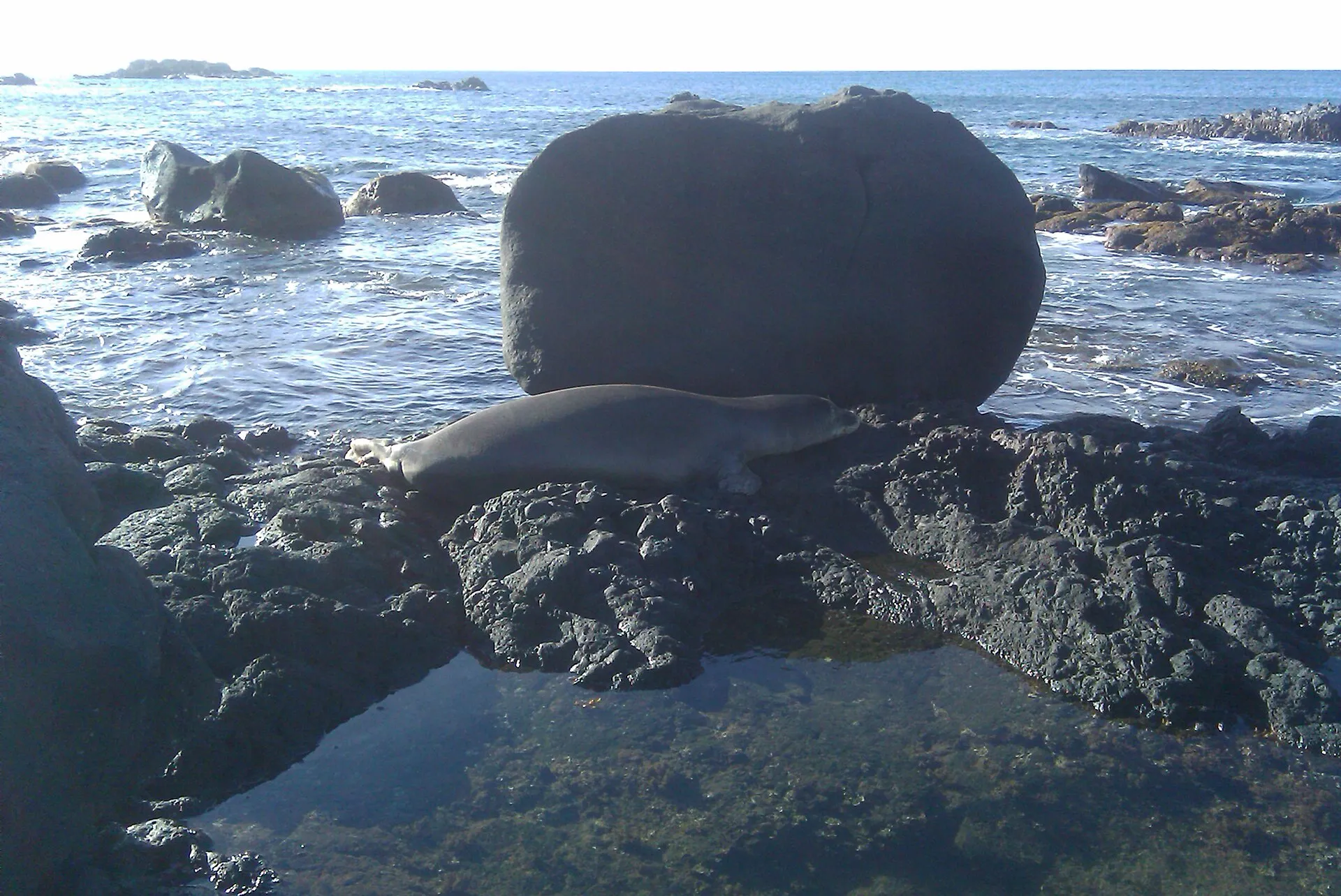 Waimea Bay Beach Park