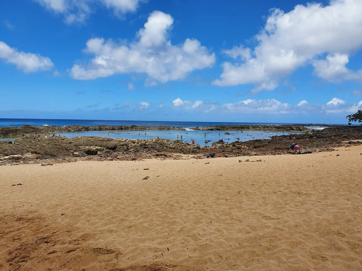 Sharks Cove (Pupukea)