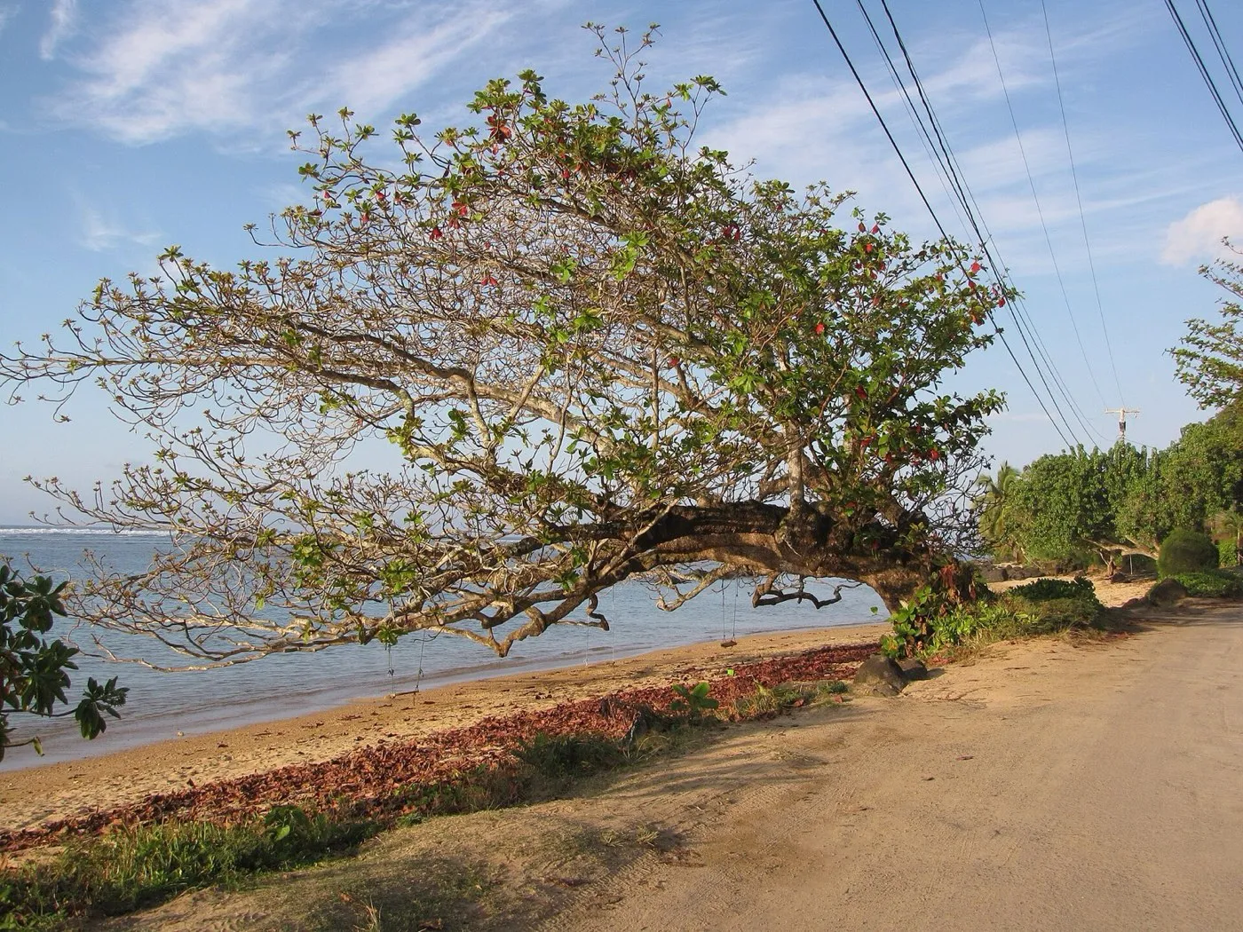 Anini Beach Park
