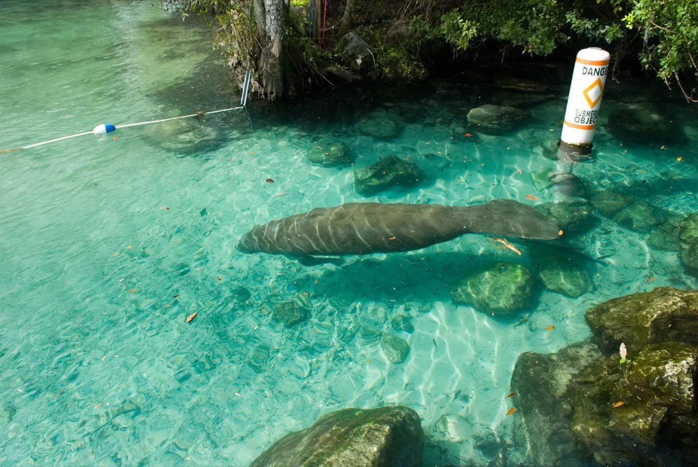 Crystal River